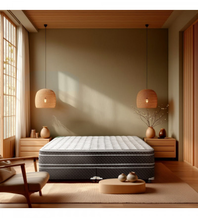 SOMMIER RENOVATION TN C/PILLOW 190X140